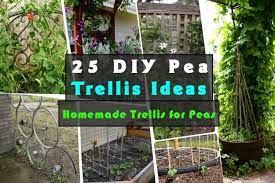Check spelling or type a new query. 25 Diy Pea Trellis Ideas For Your Garden Gardenoid