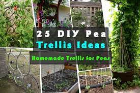 This diy project will cost you pennies and is this garden trellis tutorial shows you how to easily build a wooden garden trellis with only one piece of material. 25 Diy Pea Trellis Ideas For Your Garden Gardenoid