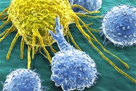 Image result for Hematologic Cancer