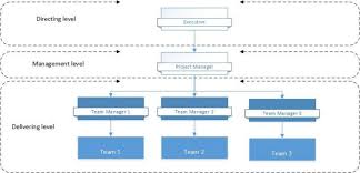 Prince2 Project Management Team Structure Download