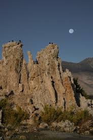 brucedanephotography.com/blog/ — Bruce Dane Photography