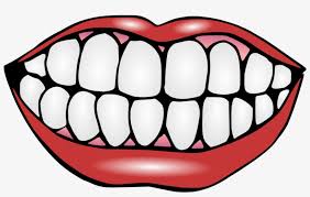 Clip Art Mouth Clipart Png Image Transparent Png Free Download On Seekpng Mouth clipart mouth clipart free mouth clipart black and white mouth clipart images big mouth clipart talking mouth clipart smiling mouth clipart jack o lantern mouth clipart loud mouth clipart. clip art mouth clipart png image