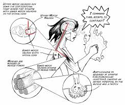 Flexion And Extension Record Your Antagonistic Muscles You can also download a premium video tutorial on how to paint muscular arm from the link on the top right corner of the video. record your antagonistic muscles