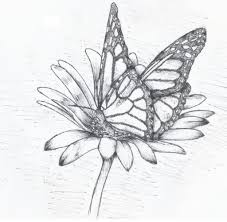 How to draw a butterfly on a flower. Easy Drawing Of Flowers And Butterflies Novocom Top