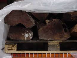 FRETS.COM Field Trip