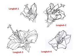Pokok bunga baru beberapa hari tanam. Bunga Raya Clipart 3 Clipart Station Cute766