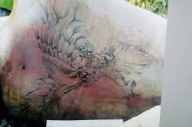 More images for hình xăm đại bàng sau lung » Tim NgÆ°á»i Ä'an Ong Co Hinh XÄƒm Ä'áº¡i Bang Bá»‹ Siáº¿t Cá»• Nem Xuá»'ng Song Vietnamnet