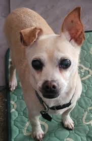 LOCAL FAMILIES !! Roots Gymnastics is hosting an open house/open gym