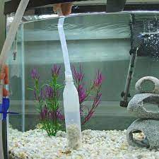 How To Clean Aquarium Gravel Aquarium Gravel Fish Tank Aquarium