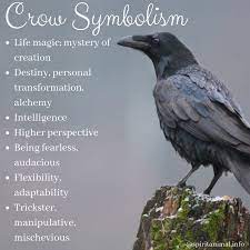 Crow Spirit Animal Meaning Symbolism Crow Spirit Animal Spirit Animal Meaning Crow Symbolism
