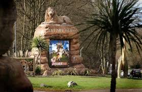 West midlands safari & leisure park bewdley •. Plans To Build Holiday Lodges At West Midland Safari Park Kidderminster Shuttle