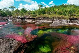 The destination was closed by environmental authorities back in december 2019, in order to protect the streams and natural pools of this fragile ecosystem as water levels dropped with the. How To Get To Cano Cristales In Meta Hotels Costs And Camping Areas