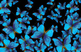 Low poly vector illustration of a starry sky or comos. Wings Of A Butterfly Morpho Flight Of Bright Blue Butterflies Stock Photo Picture And Royalty Free Image Image 99702340