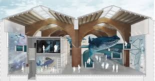 le ex Galeazze a Portoferraio rinascono con il centro grandi cetacei