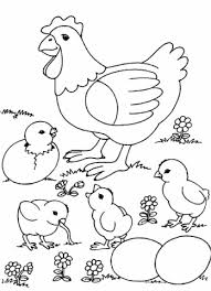 C C In 2020 Vogel Malvorlagen Bauernhof Malvorlagen Ausmalbilder