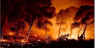 Φωτιά στο σχίνο λουτρακίου κορινθίας. R9sjnio1itxmim