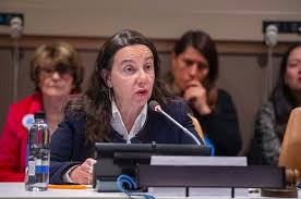 The Goal Of Gender Parity In The Un Proving That Women Are Equal To Men Passblue