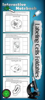 There is a printable worksheet available for download here so you can take the quiz with pen and paper. Students Will Create 4 Different Interactive Notebook Diagrams Of The Following C Interactive Notebooks Cell Interactive Notebook Elementary Science Activities