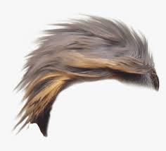 Long Hair Png Men Transparent Png Transparent Png Image Pngitem Be the star of screen and comic with this awesome hairstyle! long hair png men transparent png