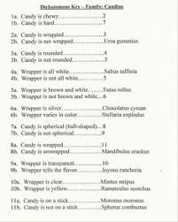 In the mineral identification gizmo™, under choose property to test, select density1. 28 Dichotomous Key Ideas Dichotomous Key Middle School Science Science Lessons