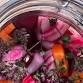 Fermentation – more than just preservation event image