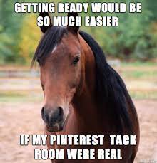 Horse Facts And Equestrian Information Horse Facts Horses Horse Quotes