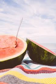 Pin by geneviève on summer summer pictures summer. 100 000 Best Summer Vibes Photos 100 Free Download Pexels Stock Photos