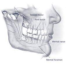Maybe you would like to learn more about one of these? General Information Oms Specialists