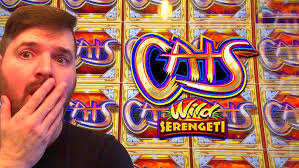 Lun Pan Du Slot Machine