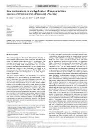 Image result for Urochloa marlothii