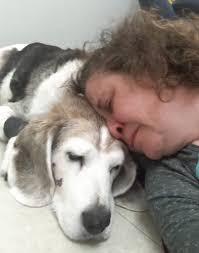 Sly the cat is enjoying the sun