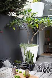 Déco de mur extérieur de jardin de terrasse en bois. Et Si On Osait Le Noir Dans Nos Jardins Frenchy Fancy