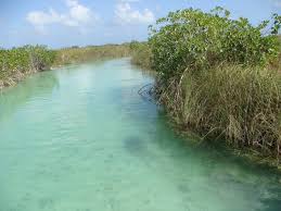 Our tour with sian ka'an boat tours was truly phenomenal. Sian Ka An Unesco World Heritage Centre