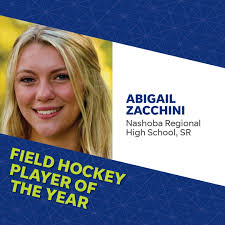 Winners of 2023 Central Mass High School Sports Awards