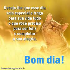 Aug 19, 2019 · mesmo que vocês dois acabem se tornando amigos depois do relacionamento, isso deve acontecer de maneira natural e apenas se não te machucar. Bom Dia Imagens E Frases