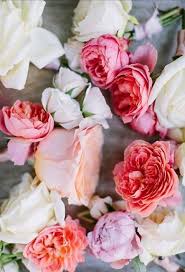 Don T Ever Say Goodbye Pretty Flowers Beautiful Flowers Flowers