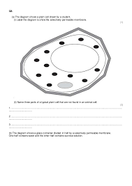 Gcse science cells wikibooks open books for an world. Diffusion Osmosis And Active Transport Practice Questions