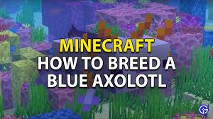 Dark blue > chimera axolotl (just as rare) cyan > piebald axolotl and ﻿copper axolotl gold axolotl > green and fire fly. How Do You Breed A Blue Axolotl In Minecraft Command Steps