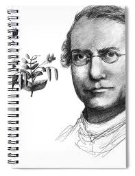 Gregor Mendel, Father Of Genetics Spiral Notebook by Spencer Sutton