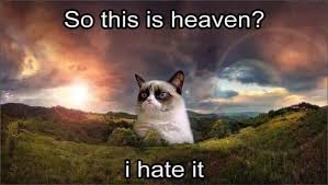 See, rate and share the best farewell memes, gifs and funny pics. Social Media Says Farewell To Grumpy Cat The Face That Launched A Million Memes Jim Heath Tv