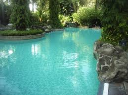 Natural Homemade Swimming Pool Cleaners Homemade Swimming Pools Homemade Pools Pool Cleaning