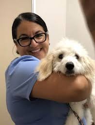 Four Paws Veterinary Center