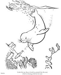 Fuzzy's advanced adult coloring pages include simple and complex flower, animal, and pattern coloring book oh, how i love to color! Pin On Amphibians Sea Life Coloring Pages