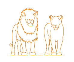 Animais sempre são uma escolha popular para tatuagens. African Lion Dimensions Drawings Dimensions Com
