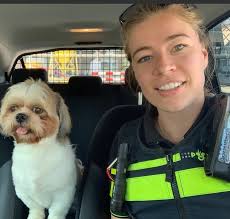 Brandy Pitt : r/WalmartCelebrities