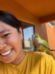Young bird identification in Northern New Mexico along the Rio Grande