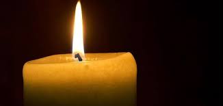 Brayden smith, 24, left, died on february 5 in las vegas from undisclosed causes just months after show host alex trebek, right. Jeopardy Winner Brayden Smith Dead At 24 Upi Com