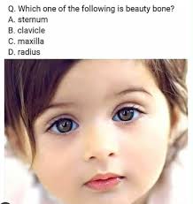 Welcome to the Anatomy & Physiology Group! We're happy to have you here.  This group is a space for learning, discussion, and sharing scientific  knowledge. Feel free to ask questions, share insights,