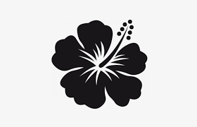 Book bunga raya island resort, pulau gaya on tripadvisor: Fleur Hibiscus Png Bunga Raya Vector Png Free Transparent Png Download Pngkey