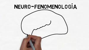 Milyen az l ren d szerek szervezdse, milyen gpek az l rendszerek, s hogyan hatrozza meg fenomenolgijukat, belertve az rkldst s az evolcit, egyedi szervezdsk? Francisco Varela Neuro Fenomenologia Y Autopoiesis Youtube